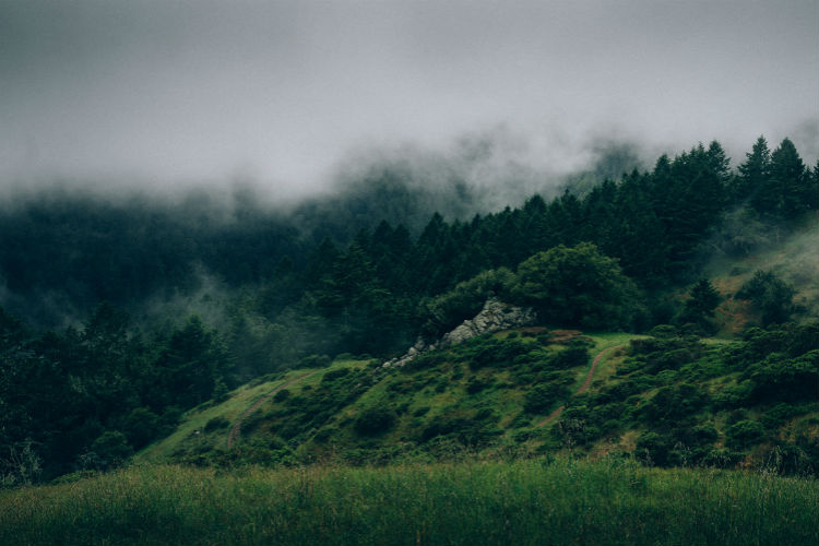 短信轰炸业务网